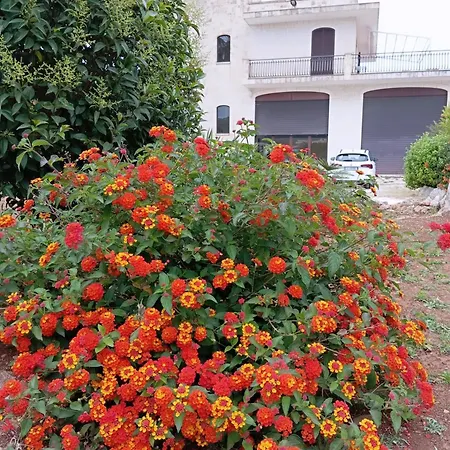 Casa vacanze La Mery Gio House -